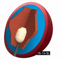 Pulse / High-Performance Columbia 300 ..