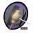 Bild 3 von 3